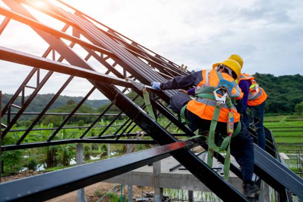 Best New Roof Installation  in Enigma, GA