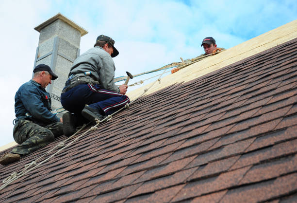 Best New Roof Installation  in Enigma, GA